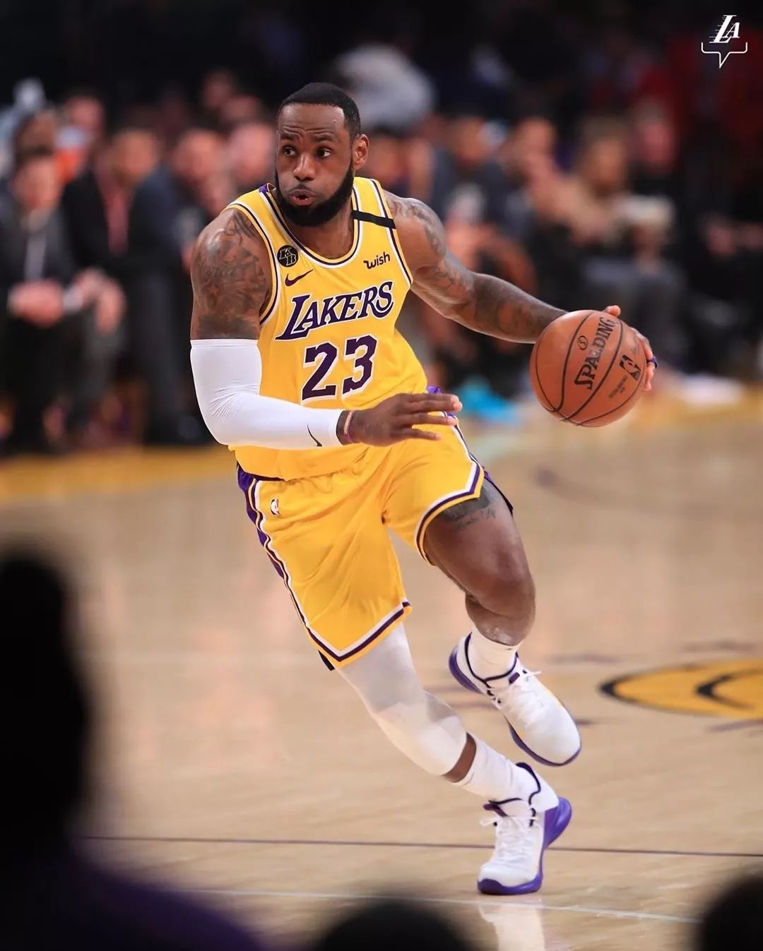 老鹰通过高 老鹰通过高